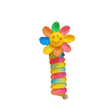 Load image into Gallery viewer, 🌈Colorful Telephone Line Hair Bands🌺