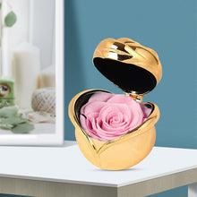Load image into Gallery viewer, Preserved Flower Rose