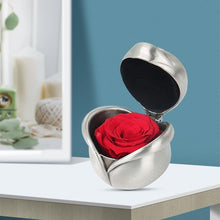 Load image into Gallery viewer, Preserved Flower Rose