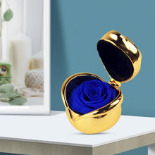Load image into Gallery viewer, Preserved Flower Rose