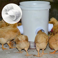 Load image into Gallery viewer, Feeding Kit Special Tools For Breeding Chickens Ducks Poultry Accessories