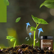 Load image into Gallery viewer, Soil Activated Treasure