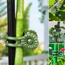 Load image into Gallery viewer, Plant Clips